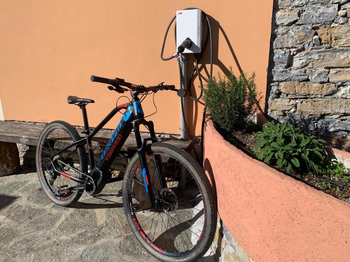 Agriturismo Gli Ulivi ガルレンダ エクステリア 写真